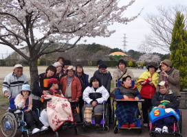 桜写真